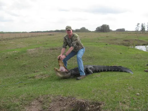 Florida Gator Hunts — photograph from the Gunners Taxidermy gallery