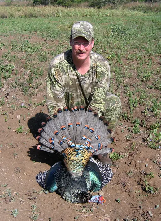 Ocellated Turkey Hunts — photograph from the Gunners Taxidermy gallery