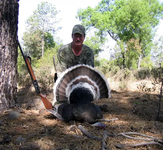 Gould's Turkey Hunts — photograph from the Gunners Taxidermy gallery